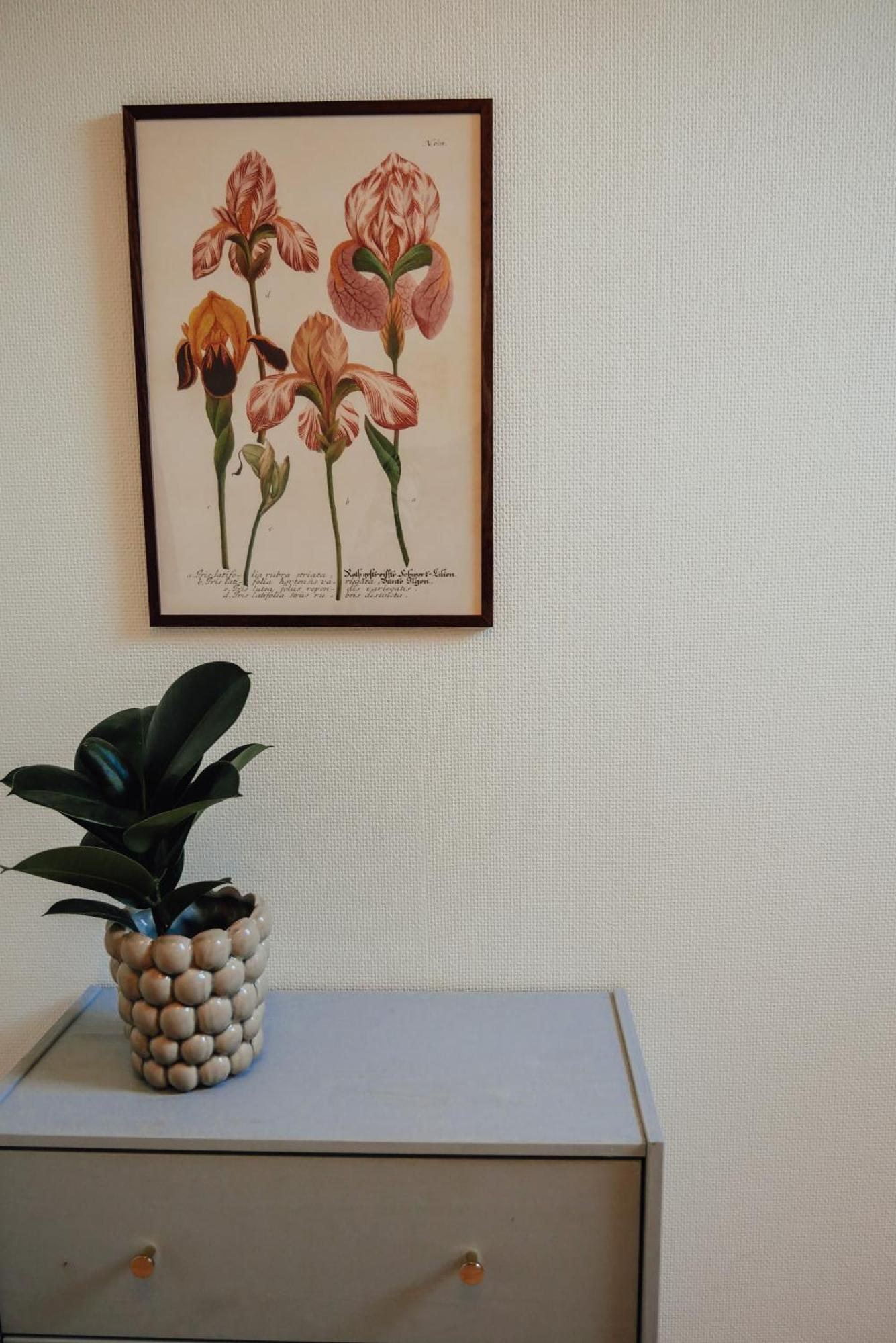 Aespoegarden Bed & Breakfast Klagstorp Eksteriør bilde